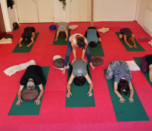 Vinyasa yoga studio MiYo